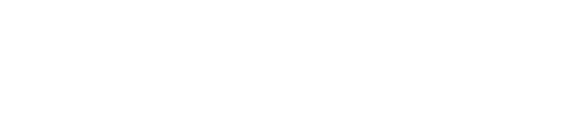 Boomerang Talent